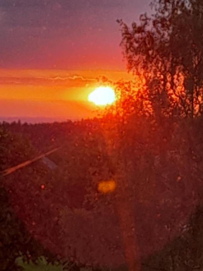 Im Traumhaus * Werda